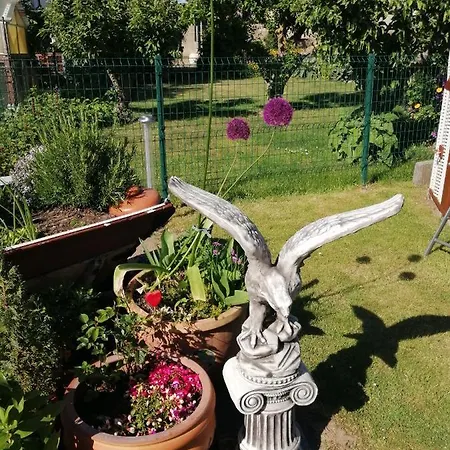 Ferienwohnung Im Grunen Appartement *